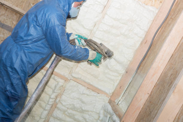 Best Crawl Space Insulation  in Stromsburg, NE