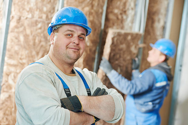 Best Basement Insulation  in Stromsburg, NE