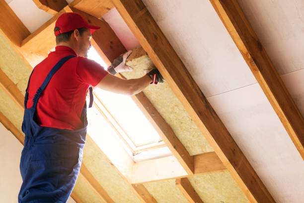 Best Attic Insulation Installation  in Stromsburg, NE